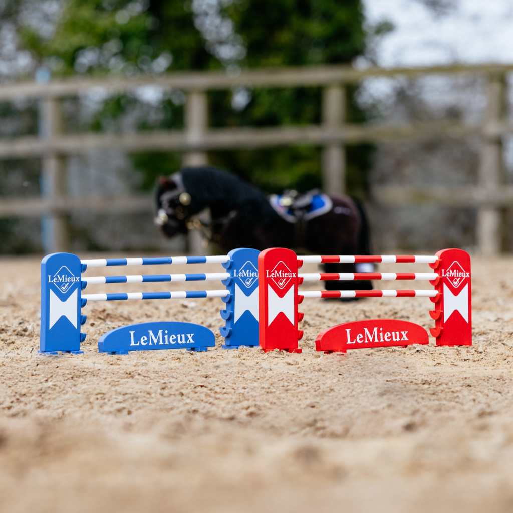 Ensemble d'obstacles pour poney LeMieux