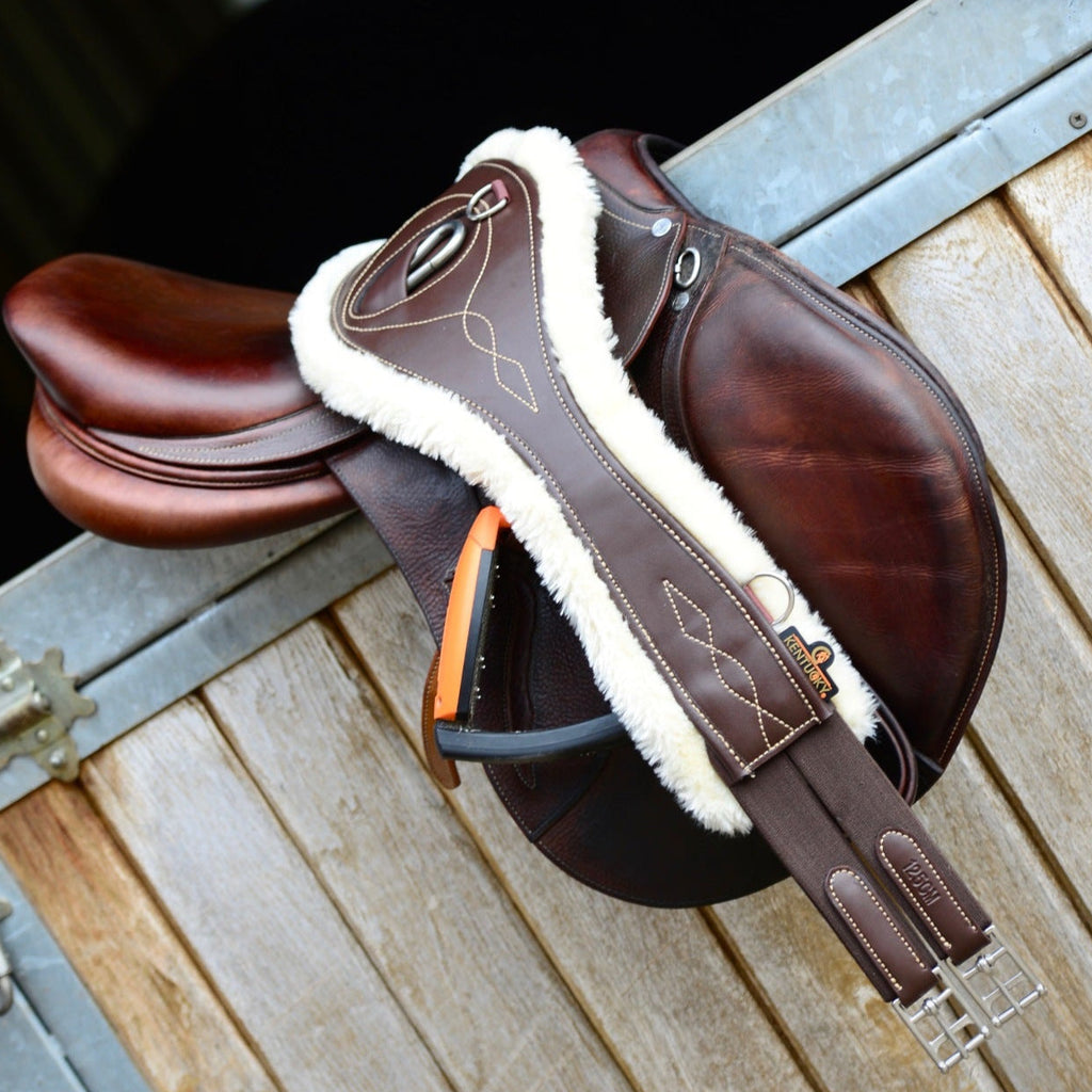 Sangle anatomique Kentucky - Mouton