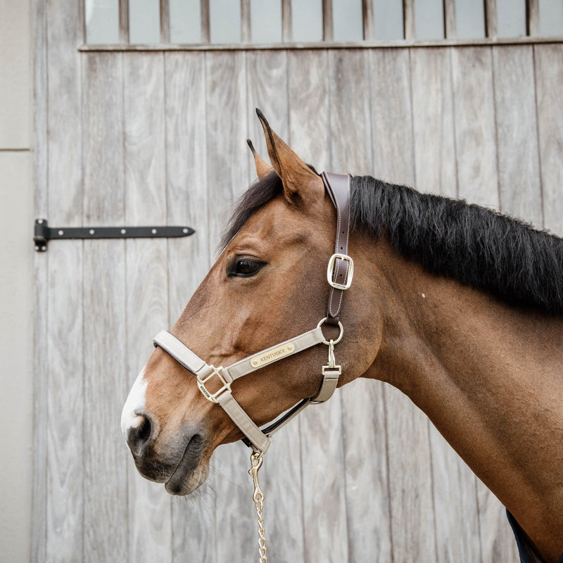 Kentucky Anatomisch Halster - Nylon