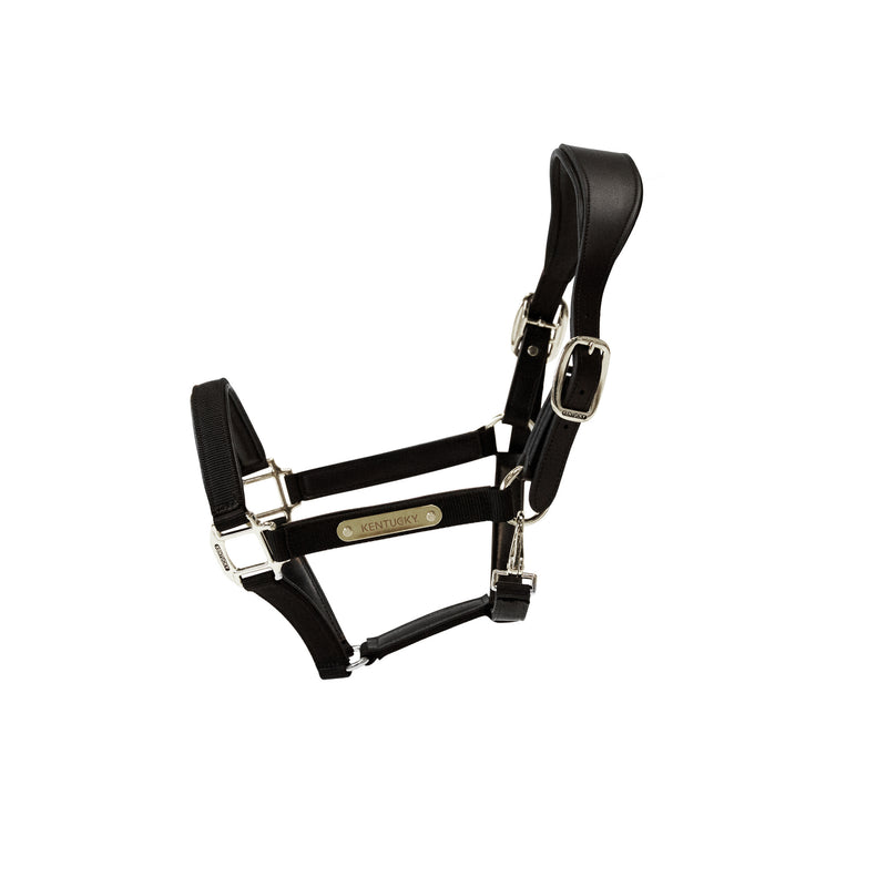 Kentucky Anatomisches Halfter - Nylon
