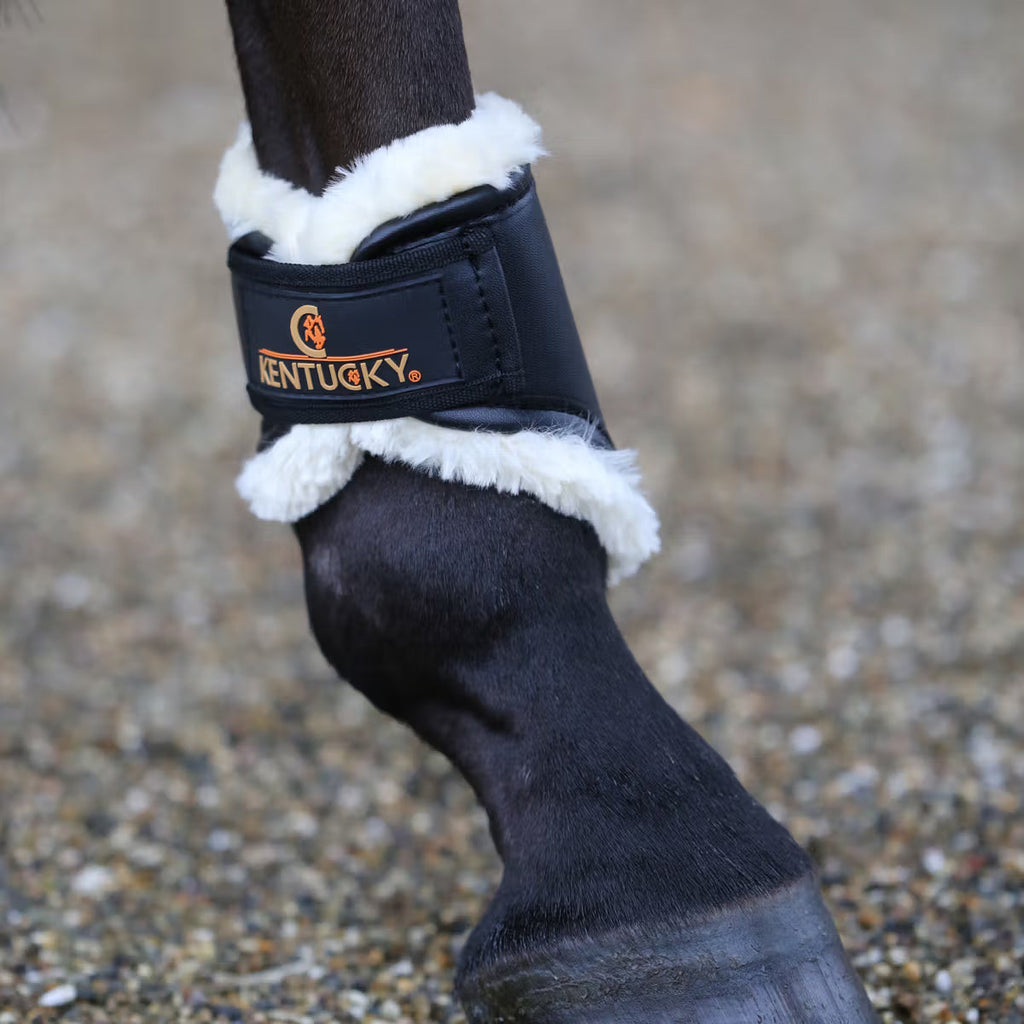 Guêtres Kentucky Fetlock Boots Turnout - Cuir + Laine