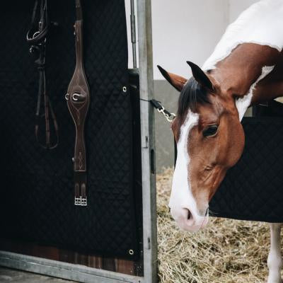 Kentucky Stable Guard