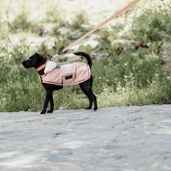 Kentucky Hundemantel - Wasserdicht