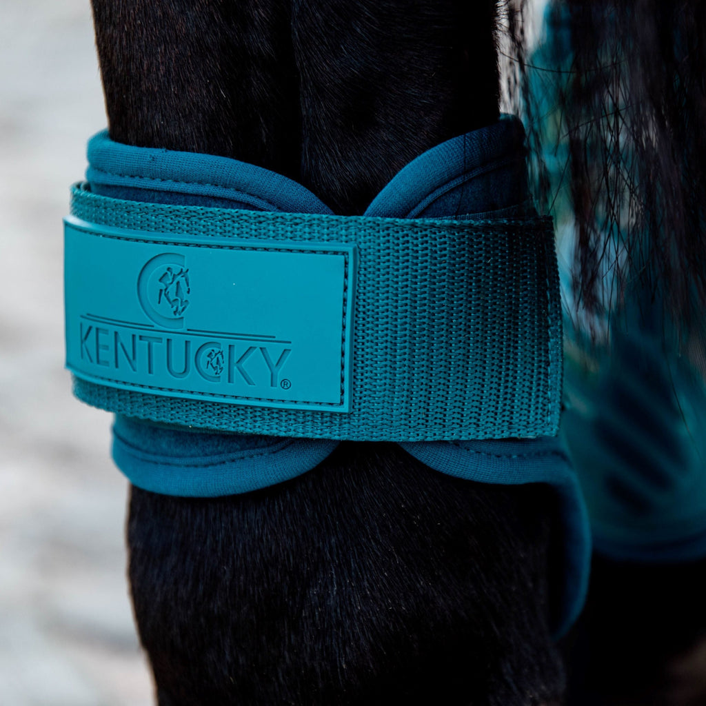 Kentucky Kogelbeschermers - Jonge Paarden