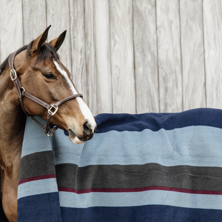 Kentucky Fleece Rug Heavy Square - Stripes/Check