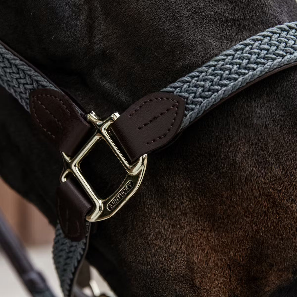 Kentucky Geflochtenes Nylonhalfter