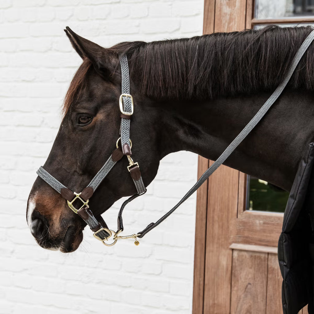 Kentucky Geflochtenes Nylonhalfter