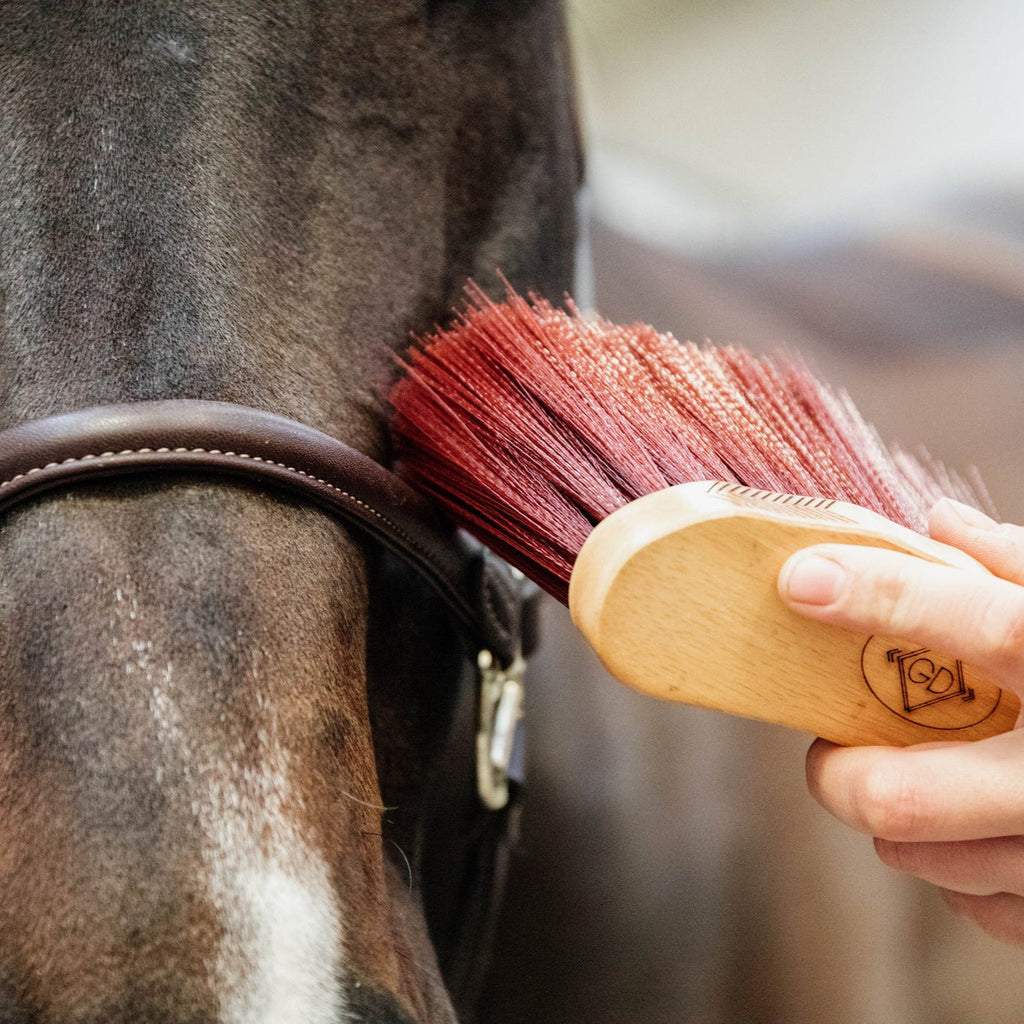Grooming Deluxe Middel Borstel - Lang