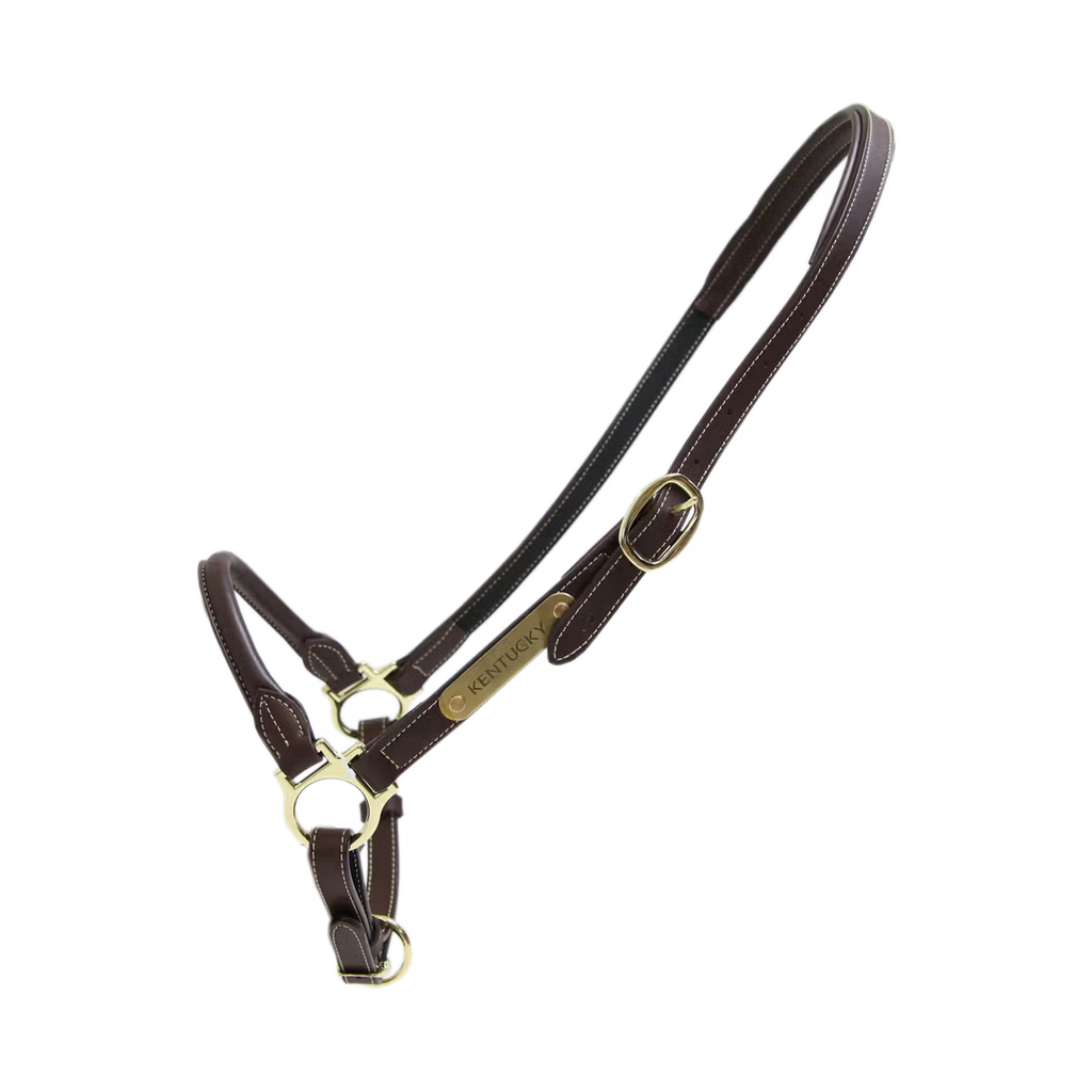 Kentucky Pflegehalfter Leder