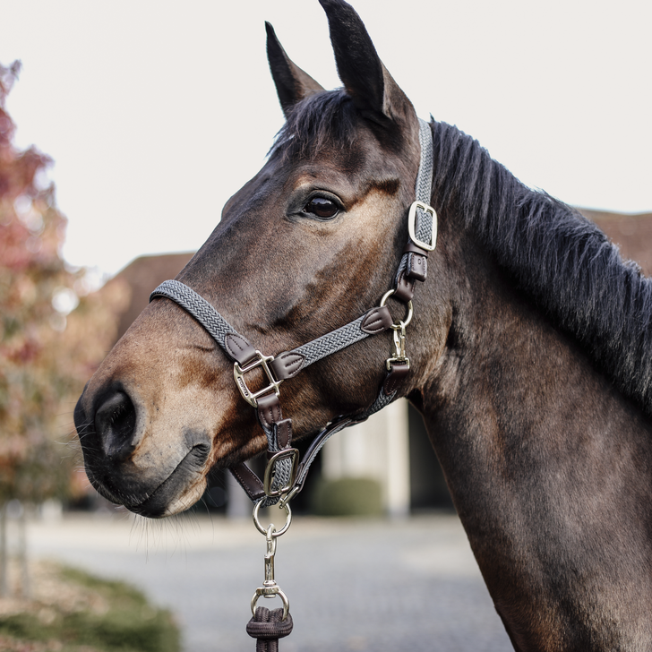 Kentucky Geflochtenes Nylonhalfter