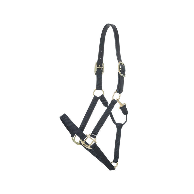Kentucky Nylon Halster Wellington
