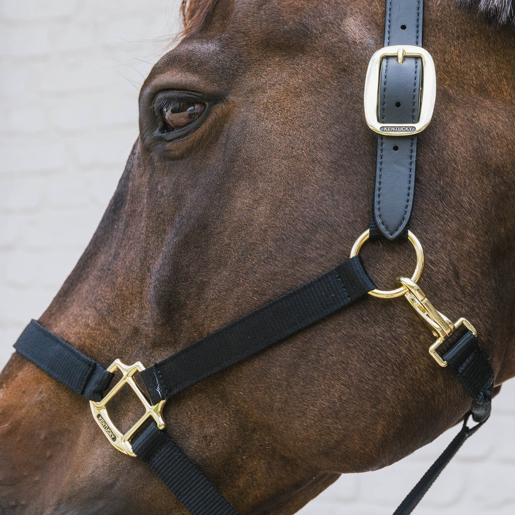 Kentucky Nylonhalfter Wellington