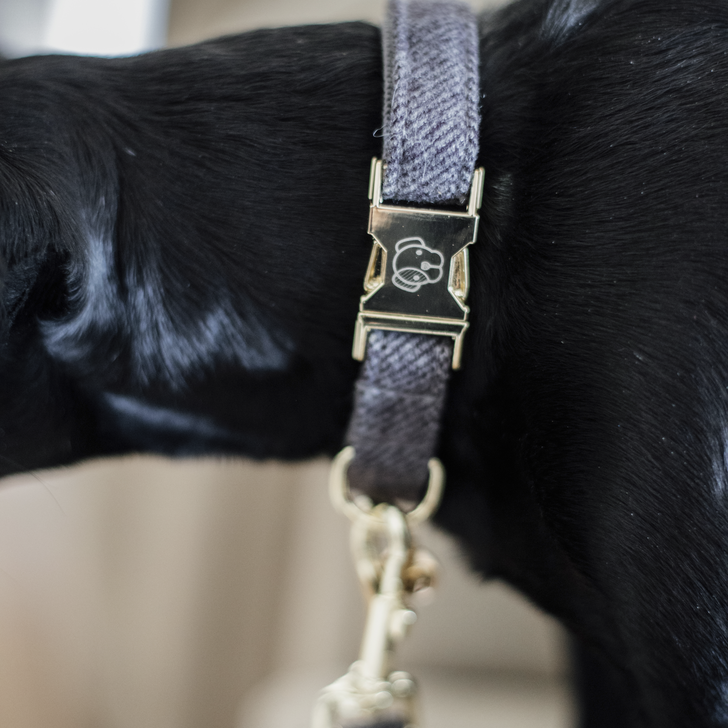 Kentucky Dog Collar - Wool