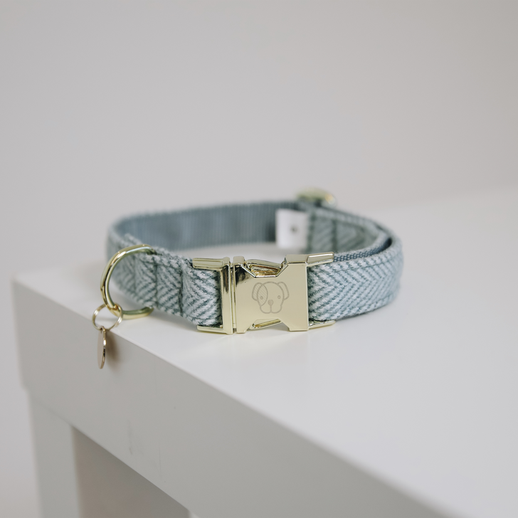 Kentucky Hondenhalsband - Wol