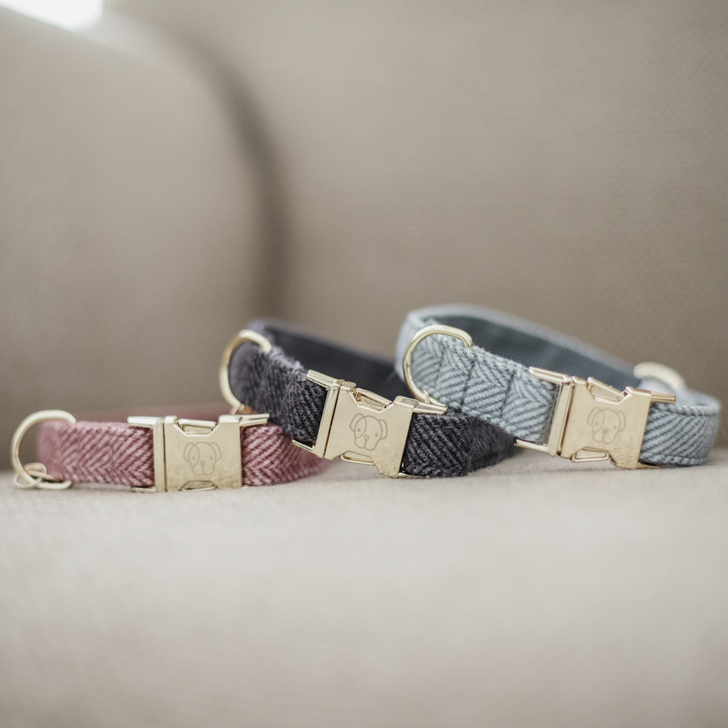 Kentucky Hondenhalsband - Wol