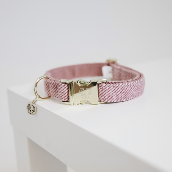 Kentucky Hundehalsband - Wolle
