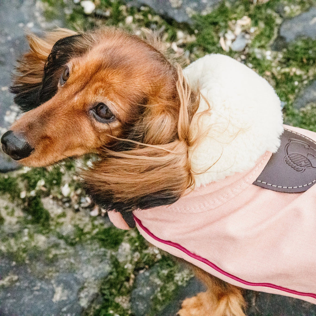 Kentucky Hundemantel - Wasserdicht