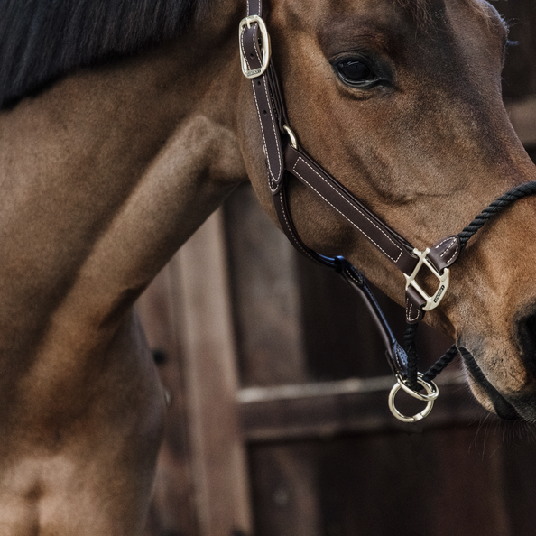Kentucky Lederhalfter - Seil