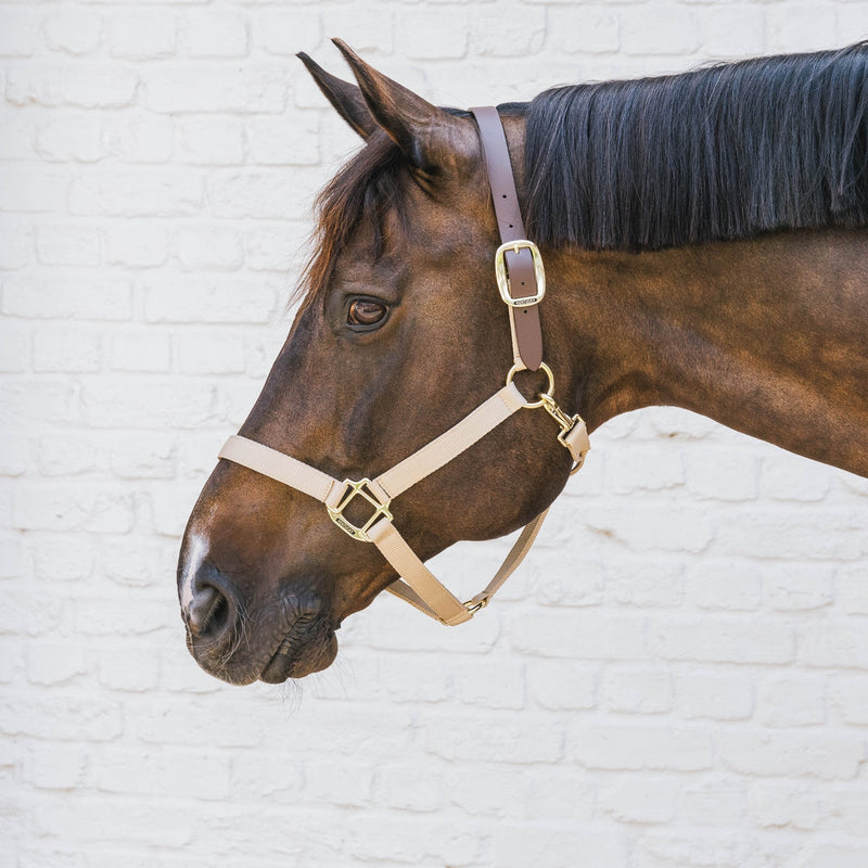 Kentucky Nylon Halster Wellington