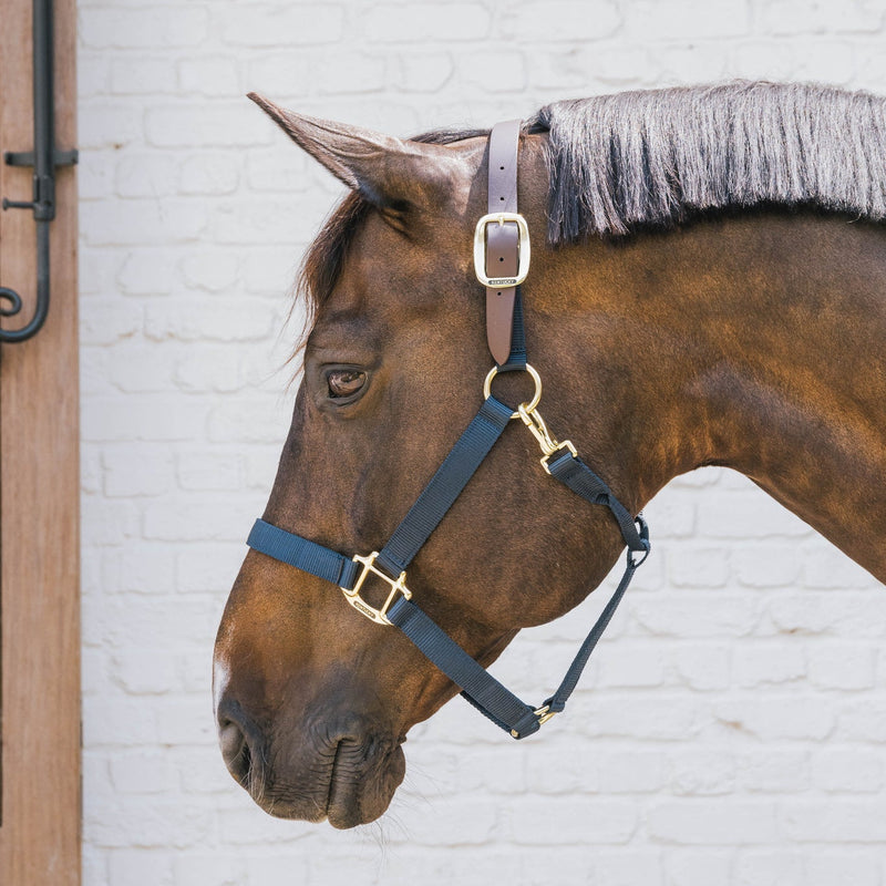 Kentucky Nylon Halster Wellington