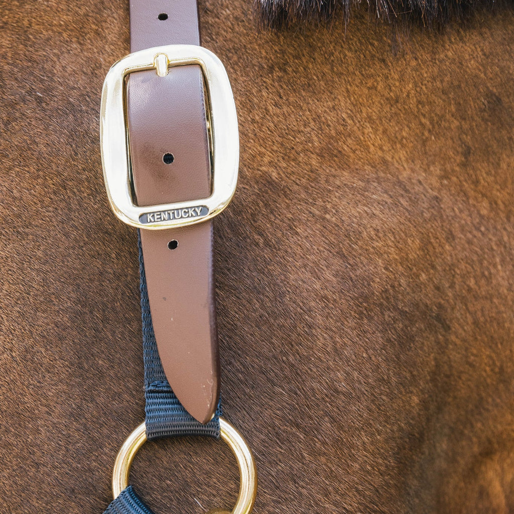 Kentucky Nylonhalfter Wellington