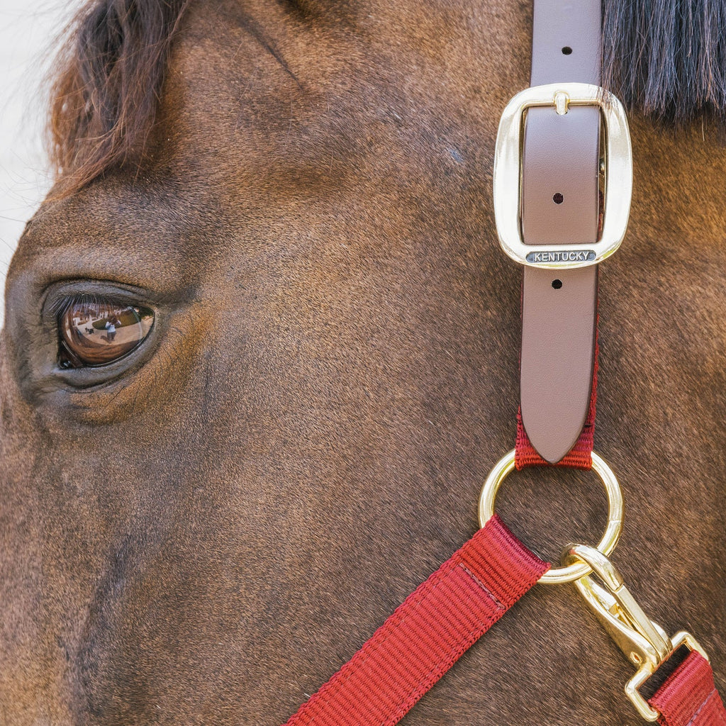 Kentucky Nylonhalfter Wellington