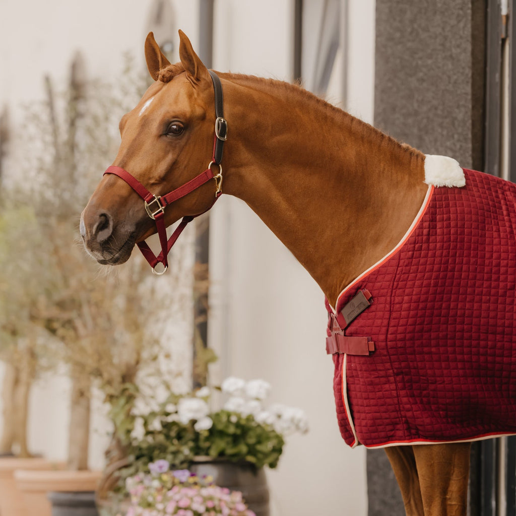 Kentucky Nylonhalfter Wellington