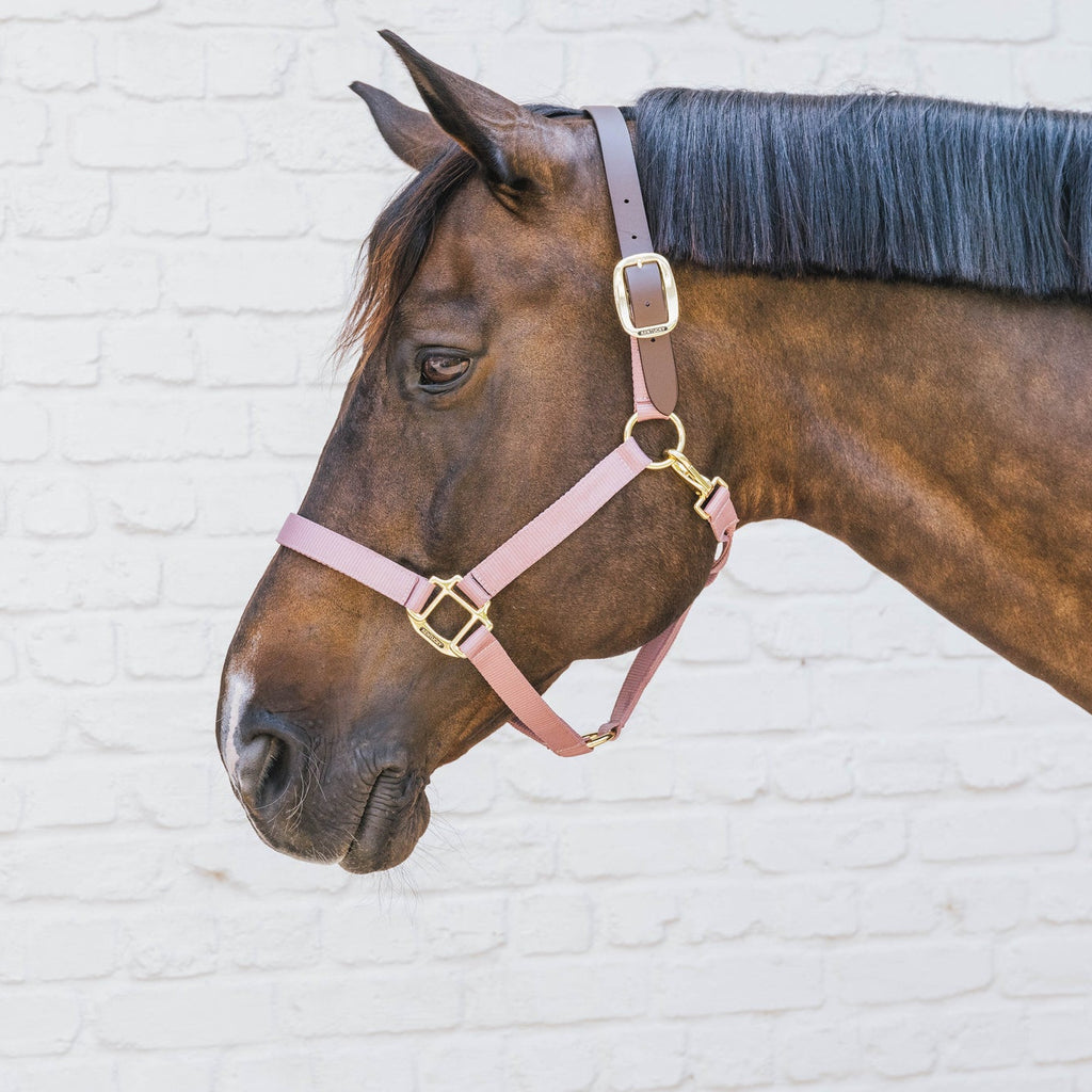 Kentucky Nylonhalfter Wellington