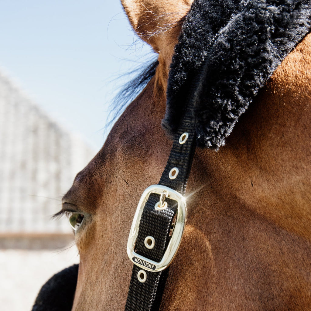 Kentucky Halfter - Nylon & Wolle Soft