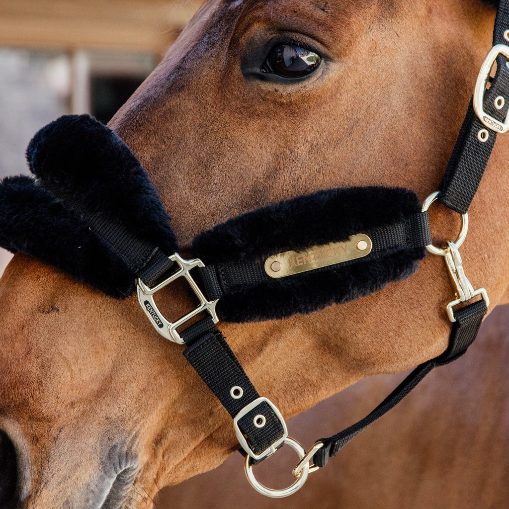 Kentucky Halfter - Nylon & Wolle Soft