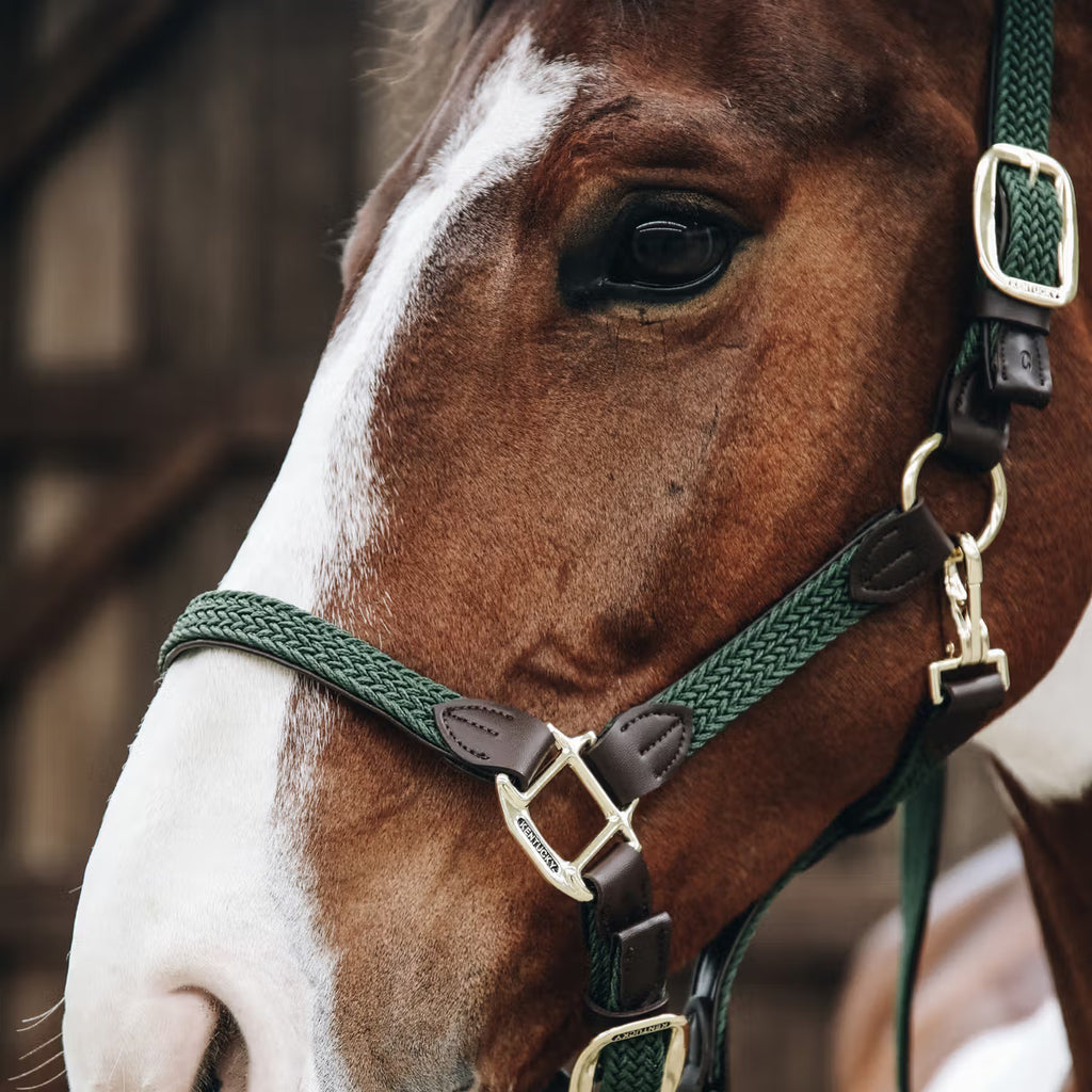 Kentucky Geflochtenes Nylonhalfter