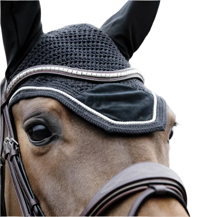 Kentucky Fliegenhaube Wellington Basic Velvet