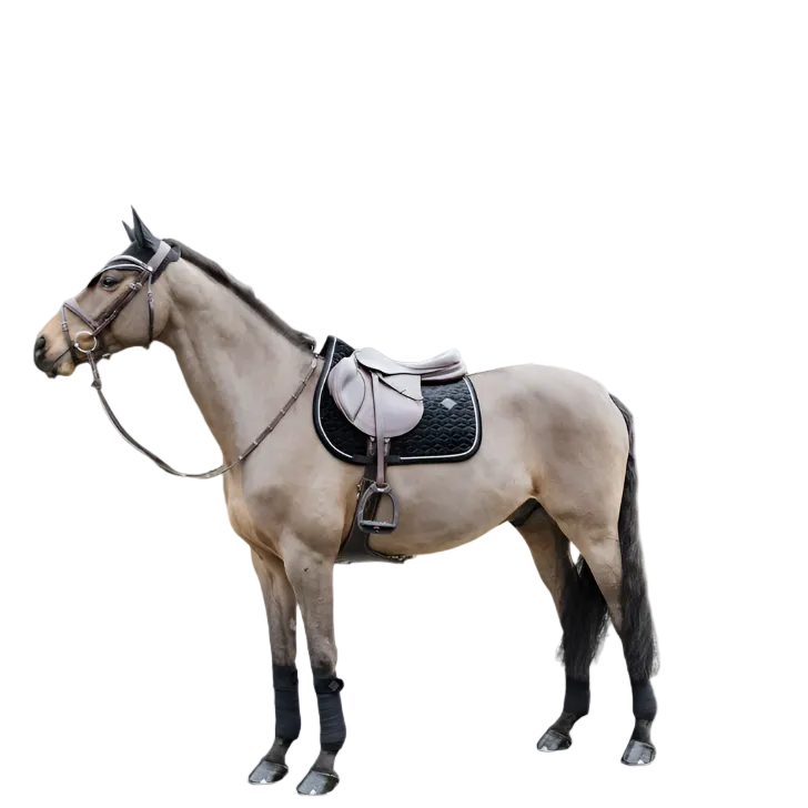 Kentucky Fliegenhaube Wellington Basic Velvet
