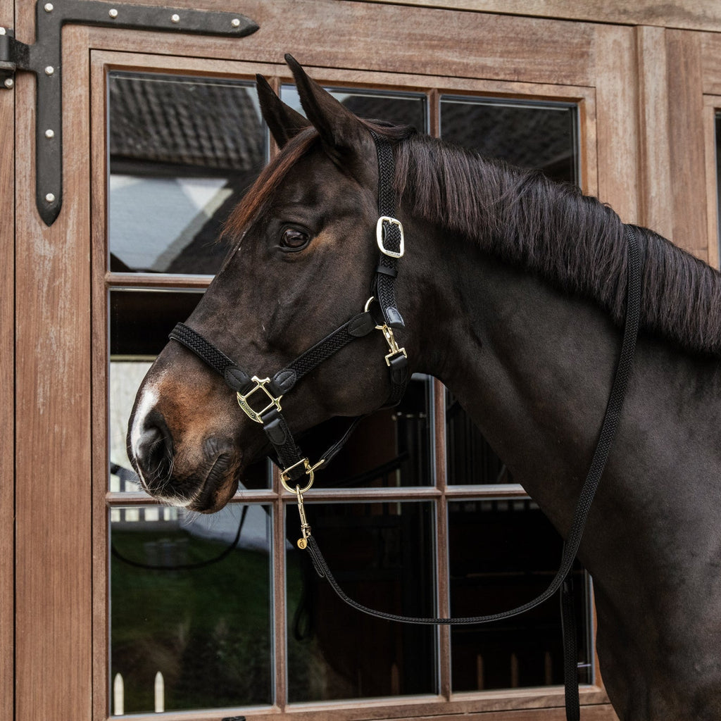 Kentucky Geflochtenes Nylonhalfter