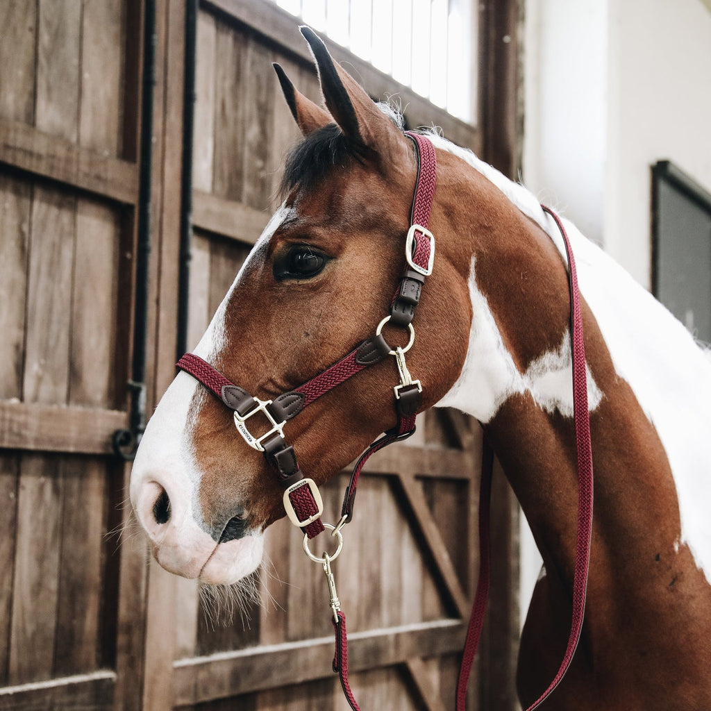 Kentucky Geflochtenes Nylonhalfter