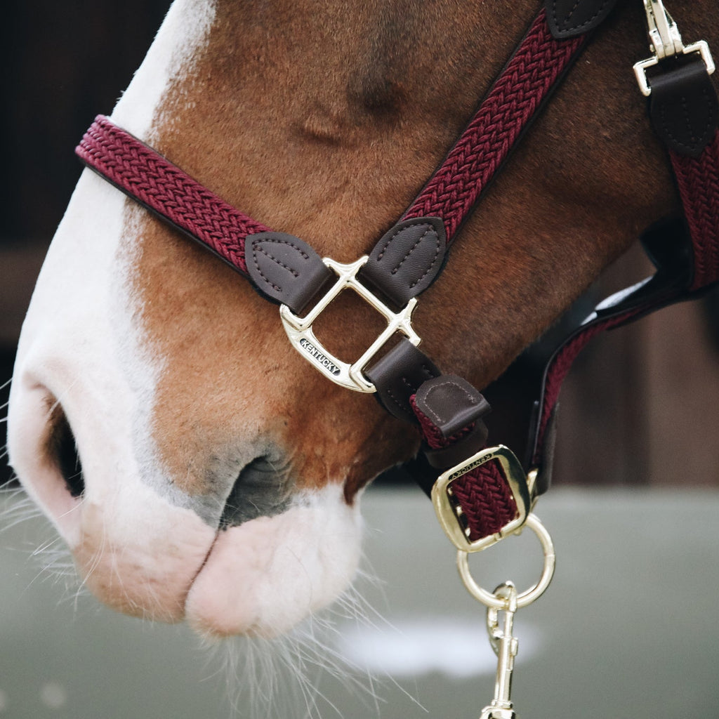 Kentucky Geflochtenes Nylonhalfter
