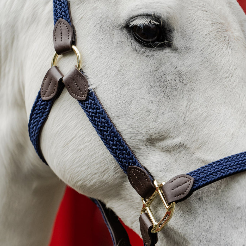 Kentucky Geflochtenes Nylonhalfter