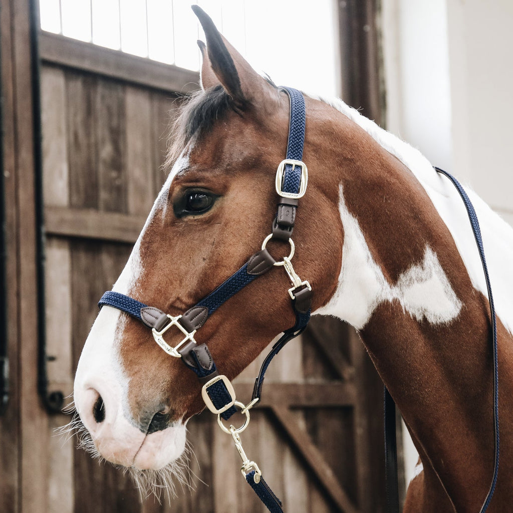 Kentucky Geflochtenes Nylonhalfter