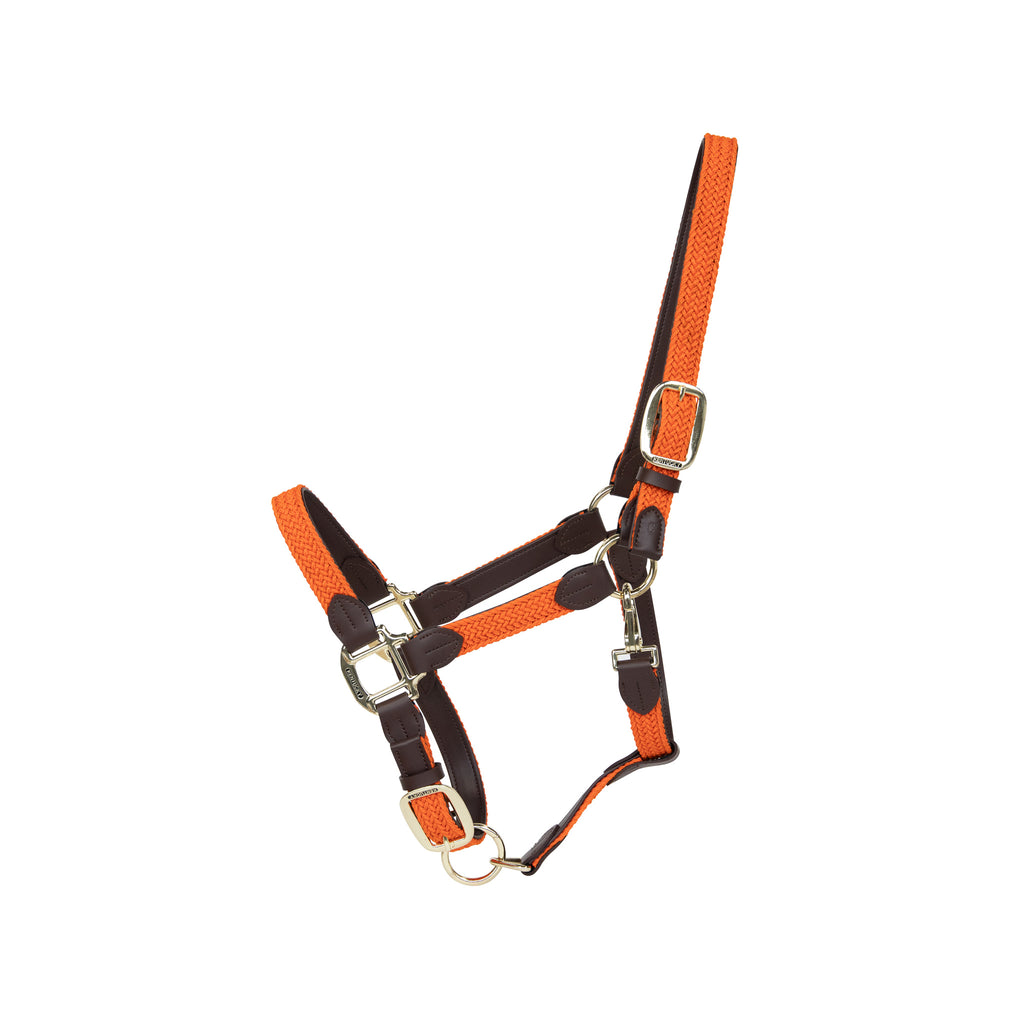 Kentucky Plaited Nylon Halter