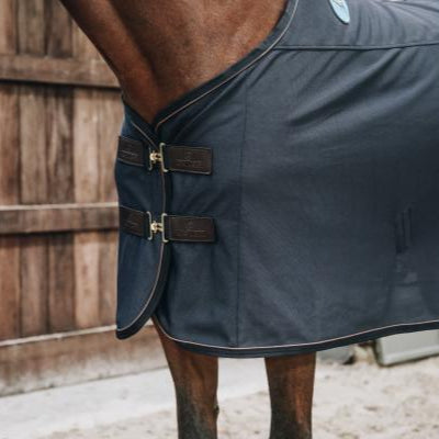 Kentucky Magnetic Rug Recuptex