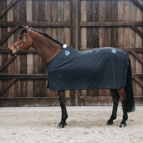 Kentucky Magnetic Rug Recuptex