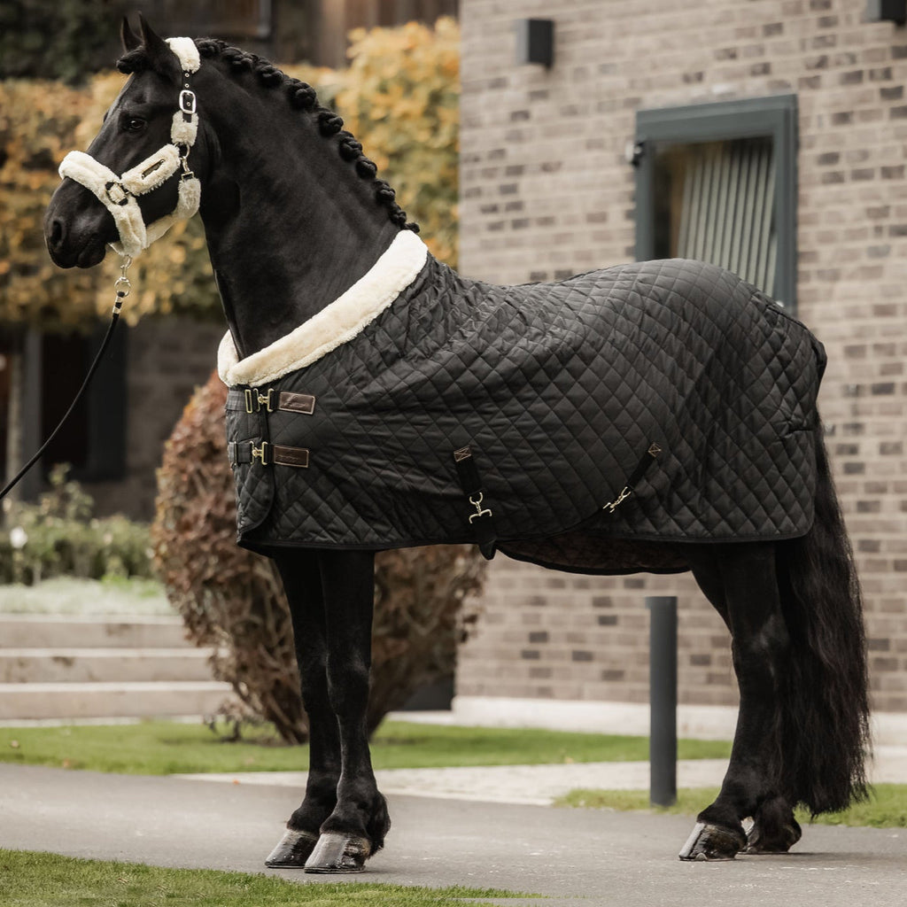Kentucky Showdeken - 160G