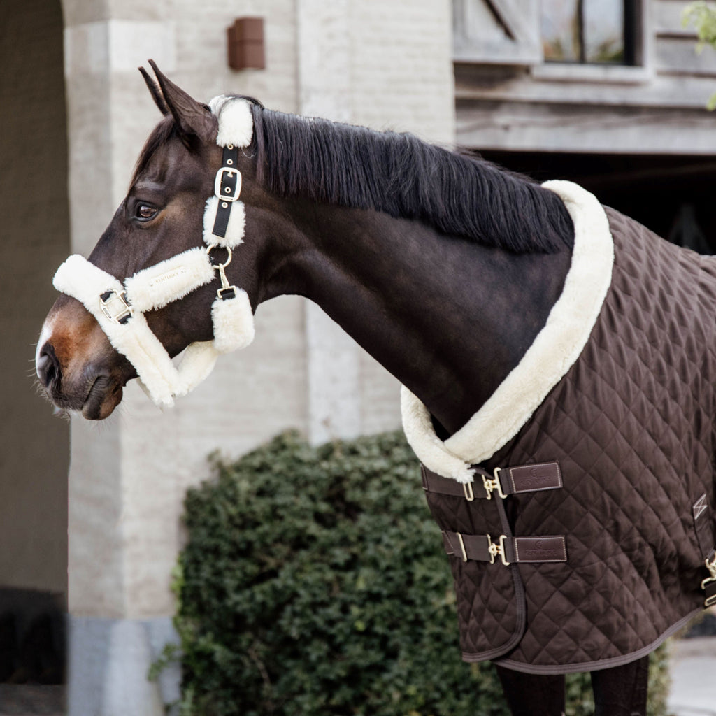 Kentucky Showdeken - 160G