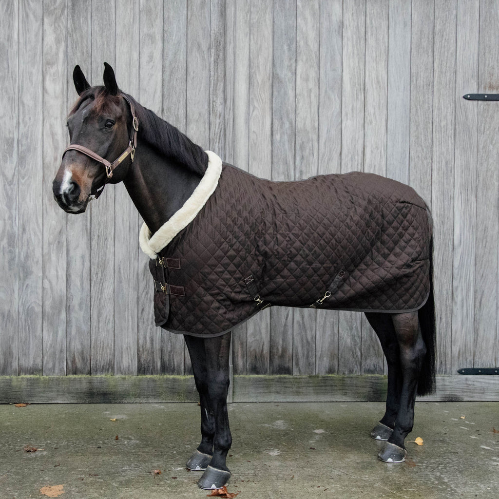 Kentucky Showdeken - 160G