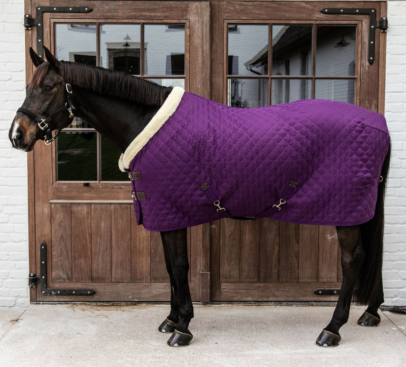 Kentucky Show Rug - 160G