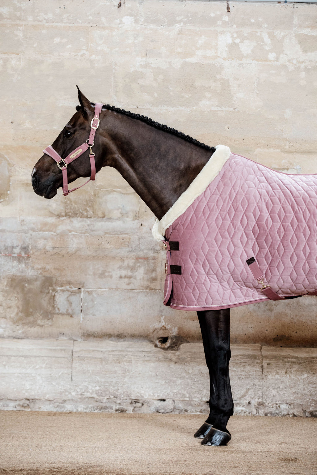 Kentucky Show Rug Velvet - 160G