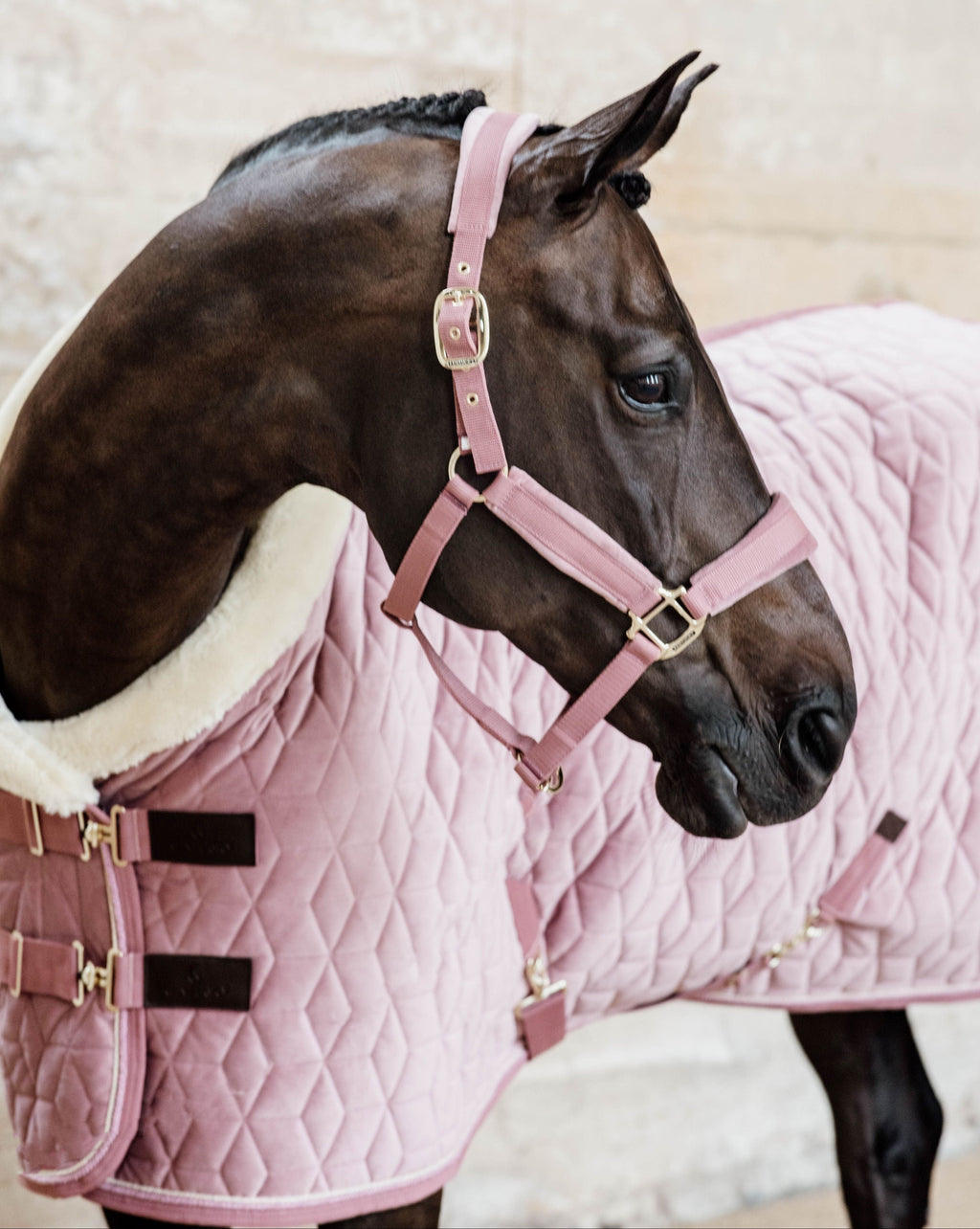Kentucky Show Rug Velvet - 160G