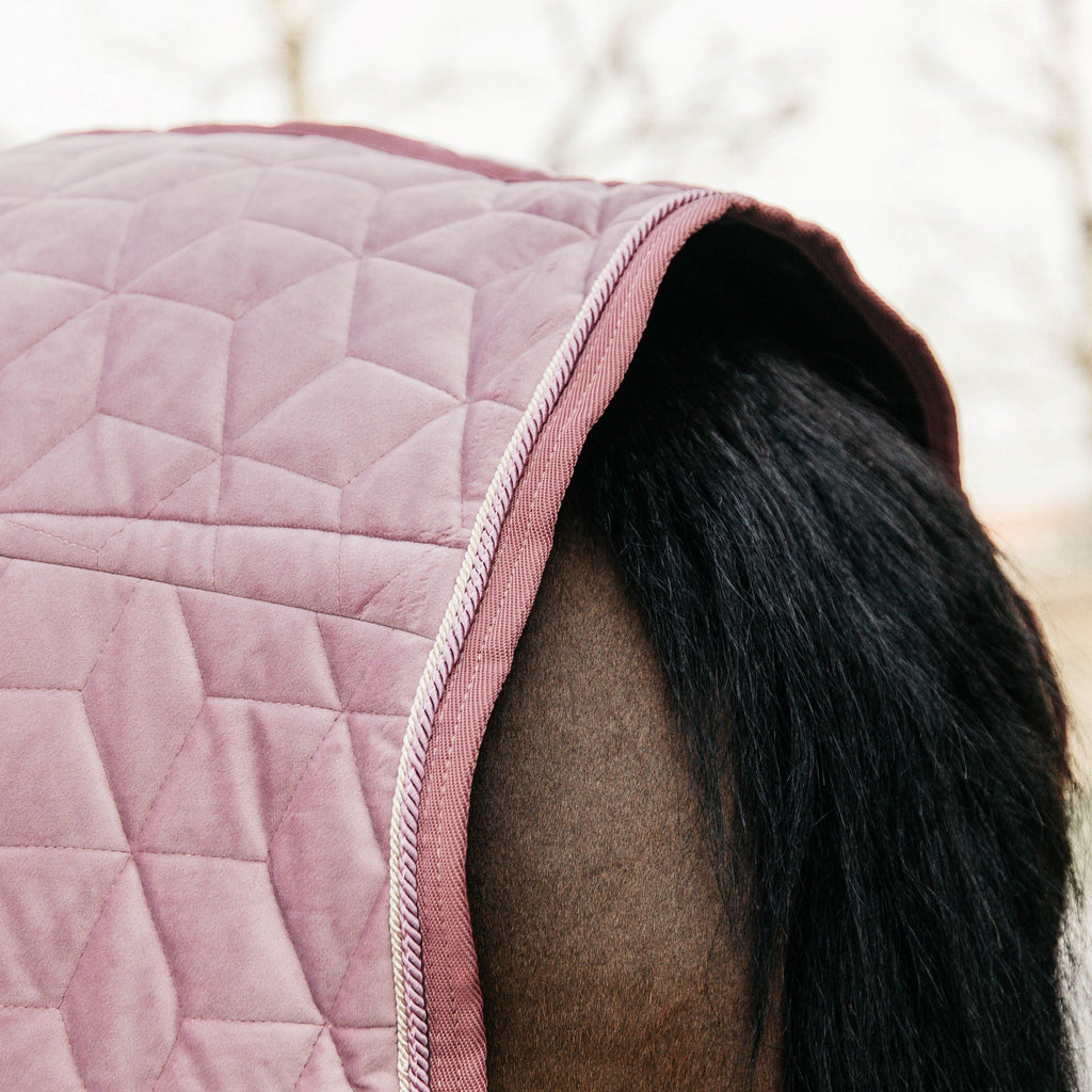 Kentucky Show Rug Velvet - 160G