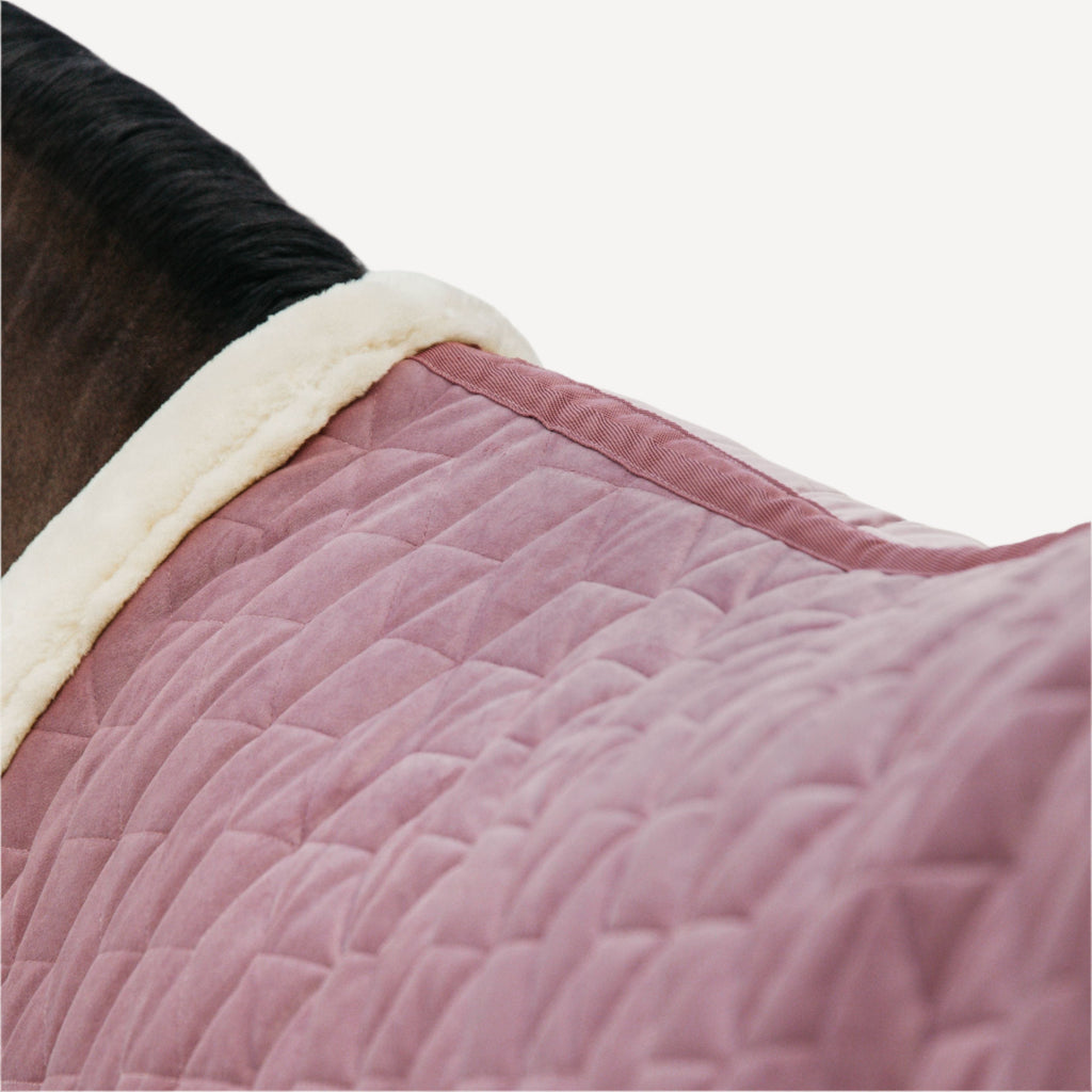 Kentucky Show Rug Velvet - 160G