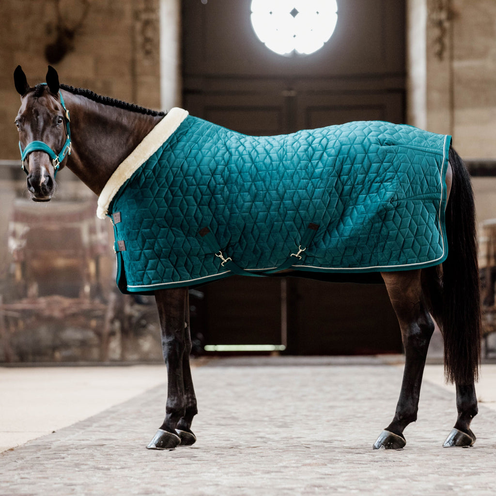 Kentucky Showdecke Samt - 160G